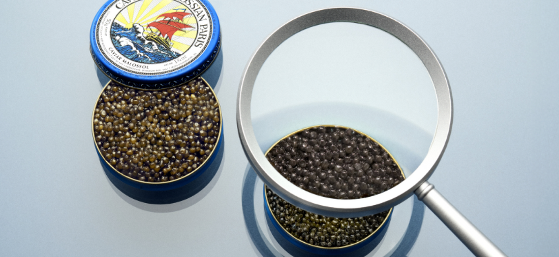 Les bienfaits du caviar sur la santé physique