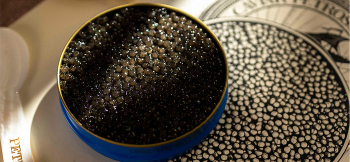 Caviar d'esturgeon guide