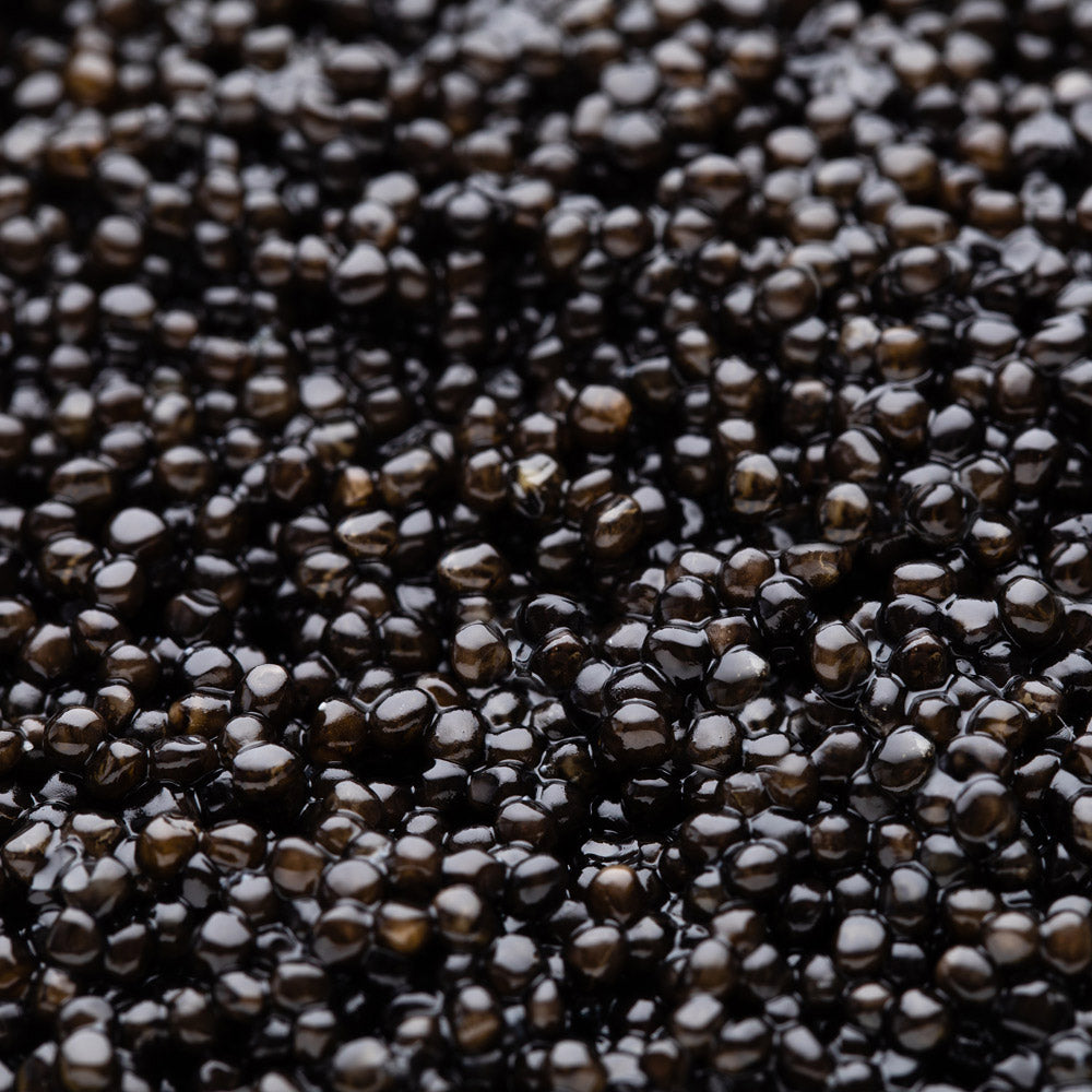 Caviar Baeri Baïka® Royal