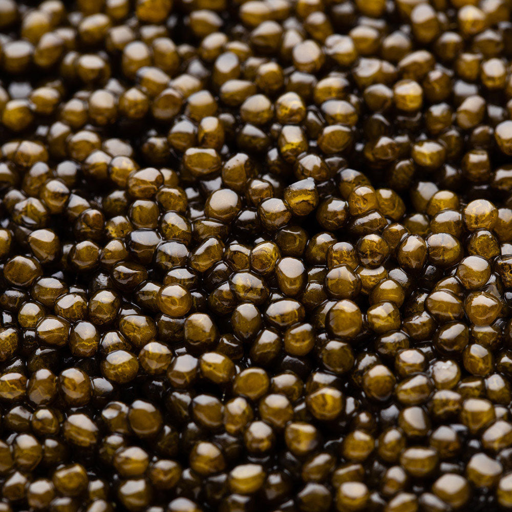 Caviar Ossetra Royal