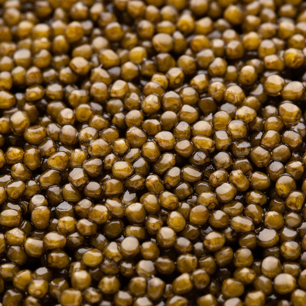 Caviar Ossetra Tsar Impérial®