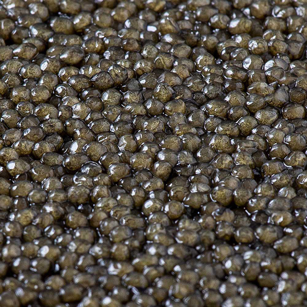 Caviar Sevruga Steluga® Tsar Impérial®