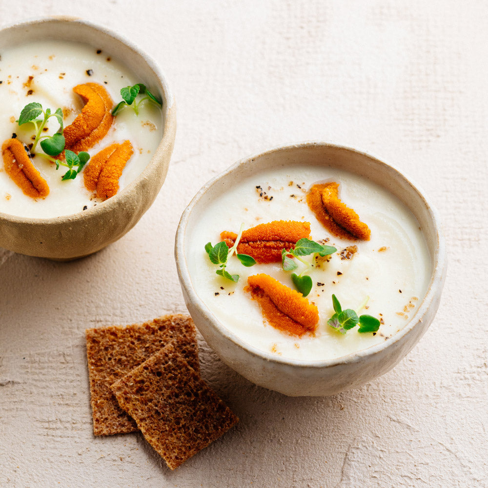 Corail d'Oursin de Galice