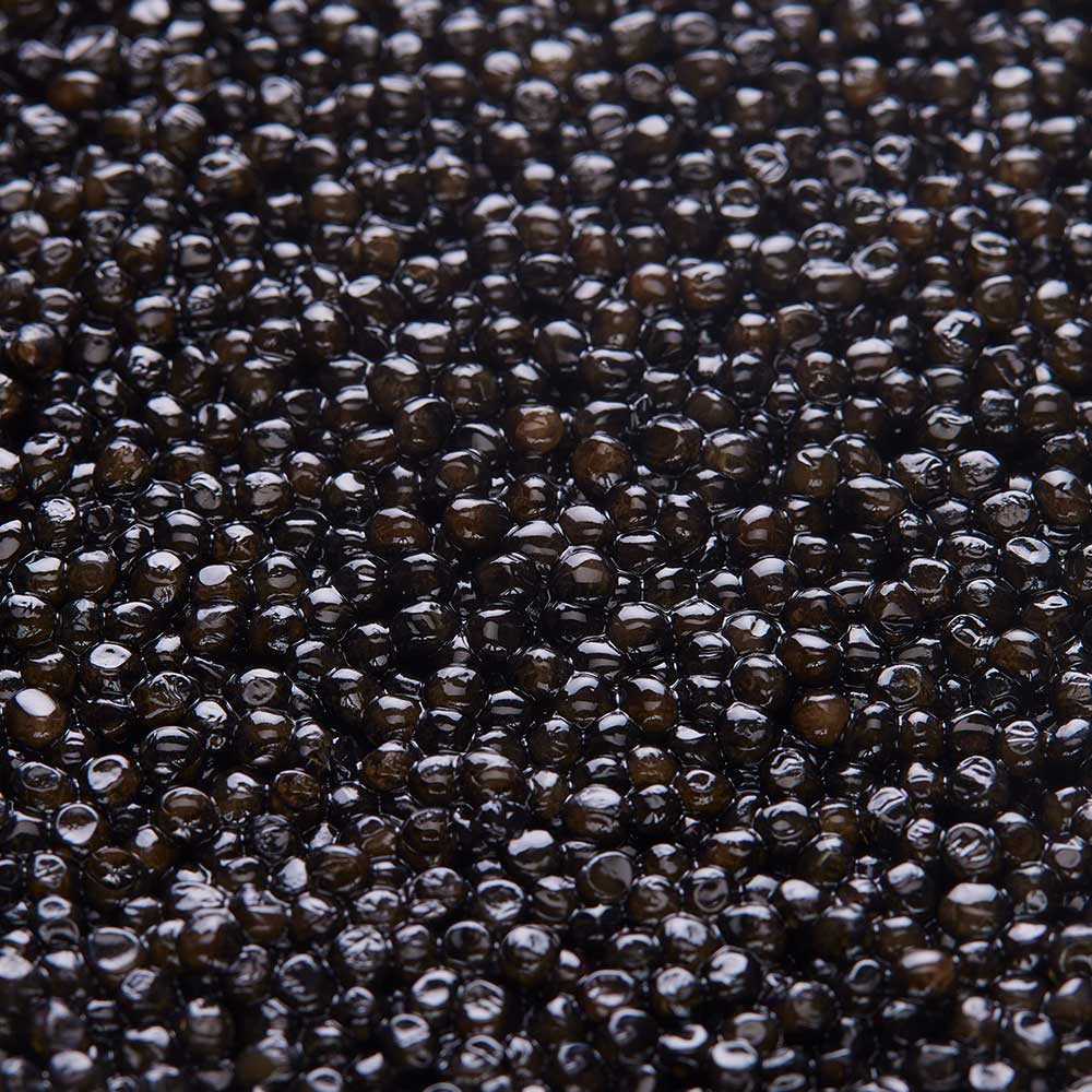 Caviar Persicus Tsar Impérial®