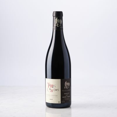 Vin rouge Saumur Champigny 2020 Domaine des Roches Neuves